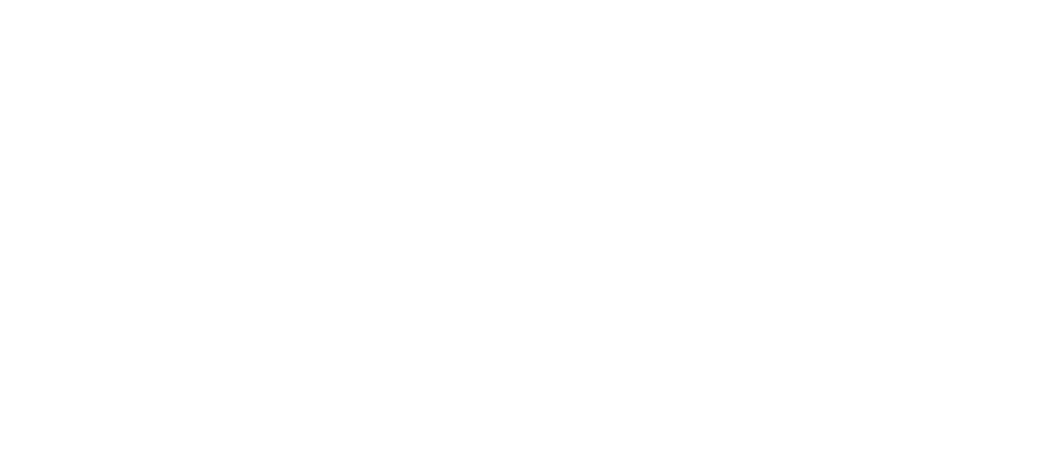 FILMeX